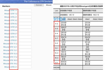 小(xiǎo)鼠細胞STR鑒定的檢測問題及誤區